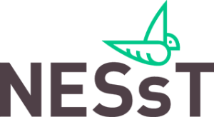 Logo Nesst