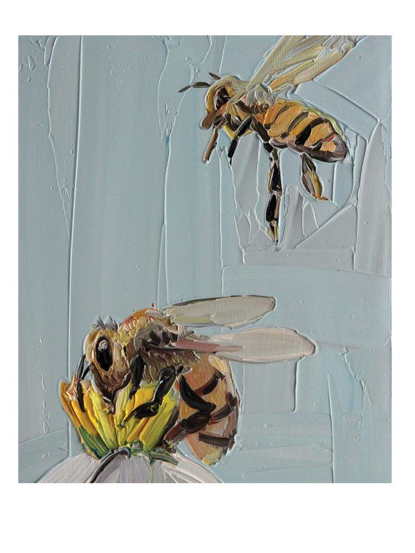BARTOSZ KOŁATA: Pszczoły - ArtShop Toruń