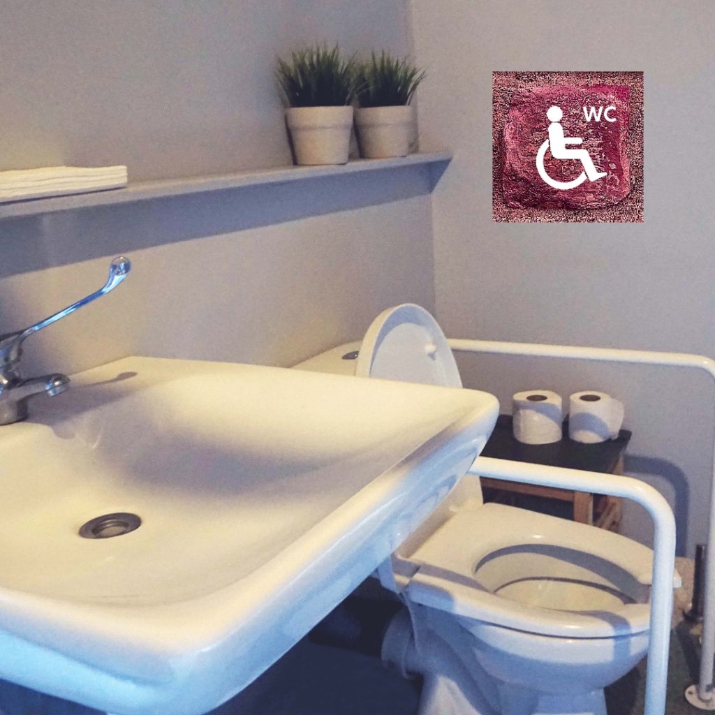 toaleta dostosowana do potrzeb osób z niepełnosprawnościami ruchowymi